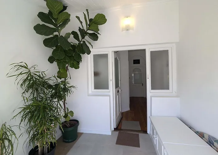 Charming 1Bedroom Apt In Tranquil Tamboerskloof